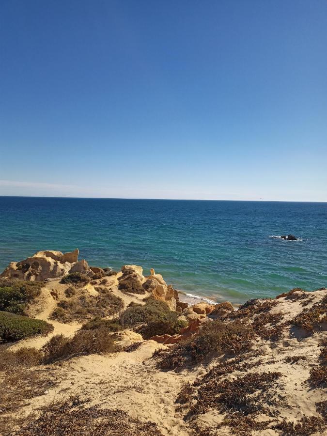 Charming V2 Next To Ocean, Golf & Natural Reserve Albufeira Eksteriør bilde